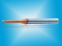 �����ٸֶ�����ϳ��-���� 2��